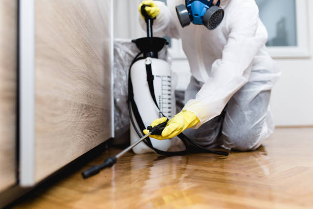 Best Flea Control Services  in Claypool, AZ