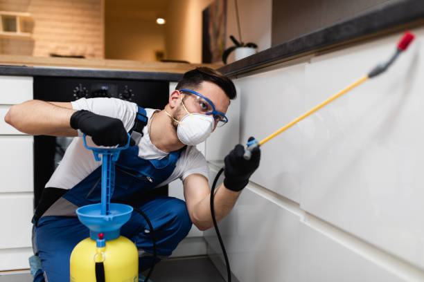 Best Pest Control Near Me  in Claypool, AZ