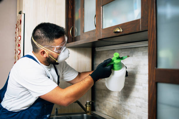 Best Exterminator Services  in Claypool, AZ