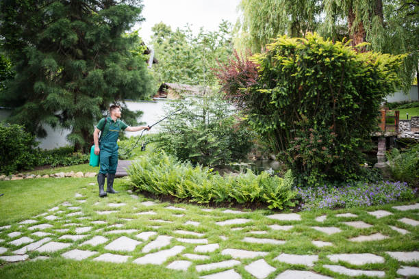Best Pest Control Near Me in Claypool, AZ