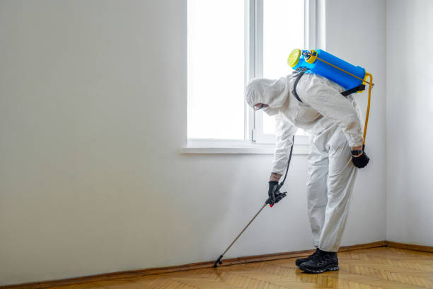 Best Ant Control Services  in Claypool, AZ