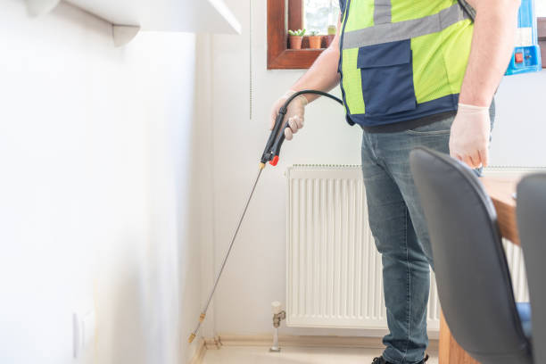 Best Emergency Pest Control  in Claypool, AZ