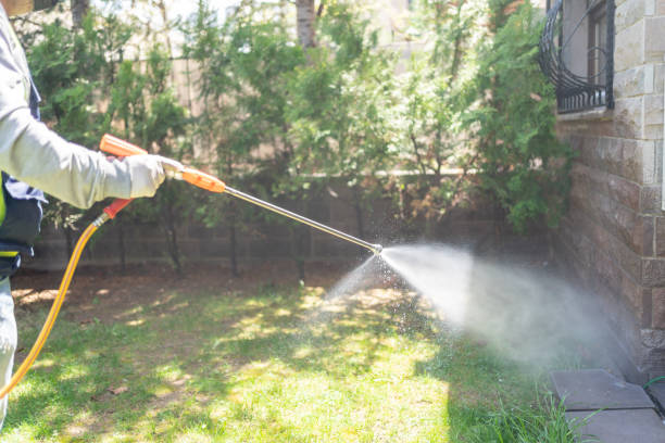 Best Local Pest Control Services  in Claypool, AZ