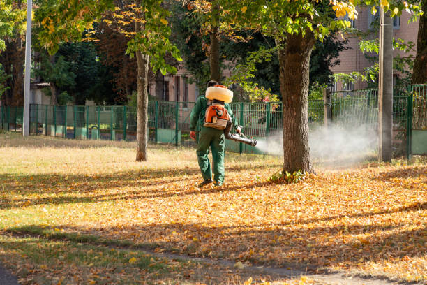 Best Cockroach Control Services  in Claypool, AZ